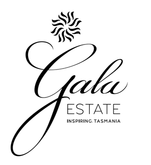 Gala Estate Black Label Saffire Sparkling Vintage Rose 2016